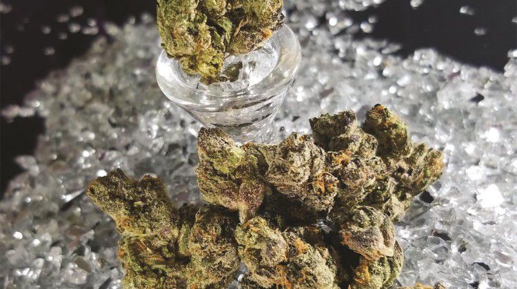 a-strain-high-above-the-rest