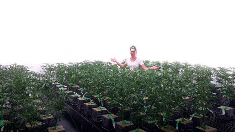 its-grow-time