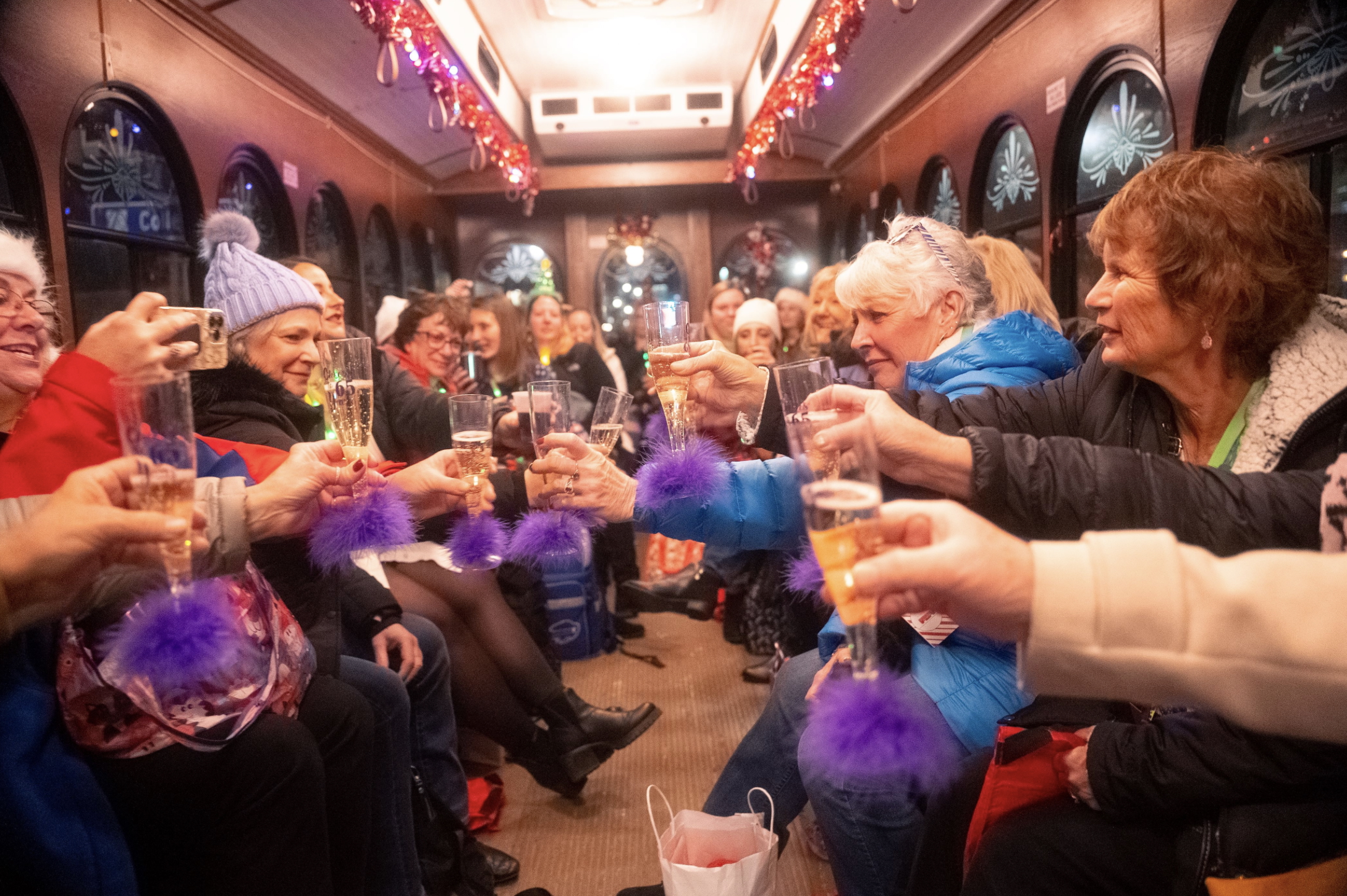 Holiday Lights Private Trolley Tour 4