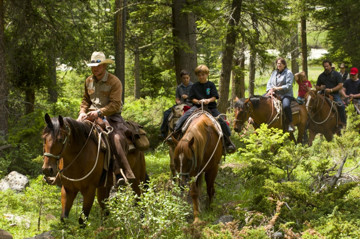 Horseback Riding in Gallatin Canyon - Image 1