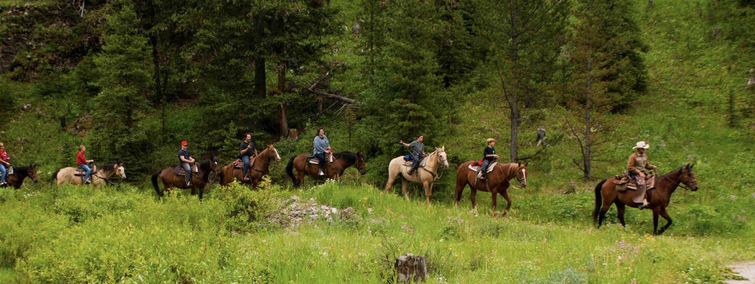 Horseback Riding in Gallatin Canyon