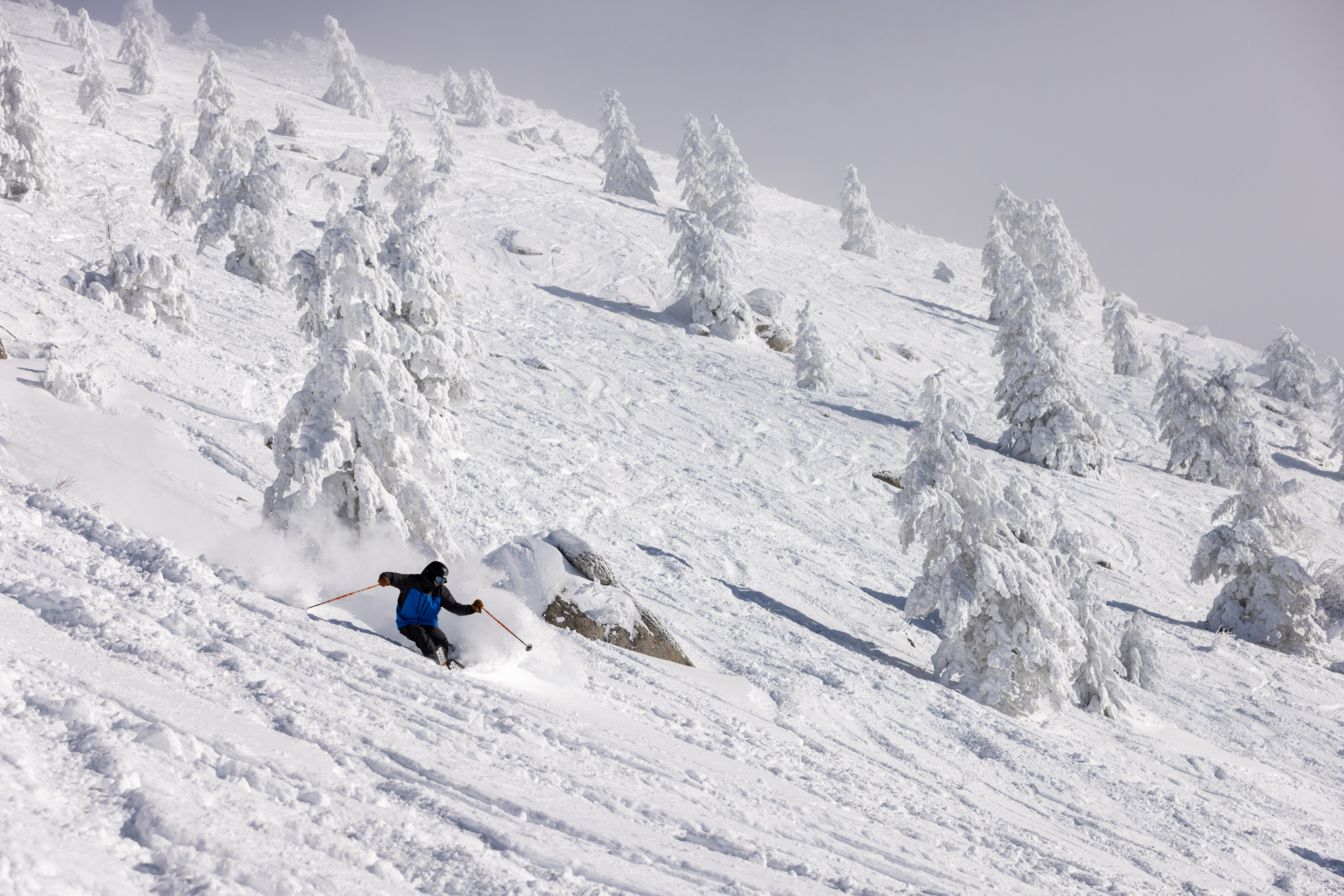 Ski / Ride Day at Bogus Basin - Image 2