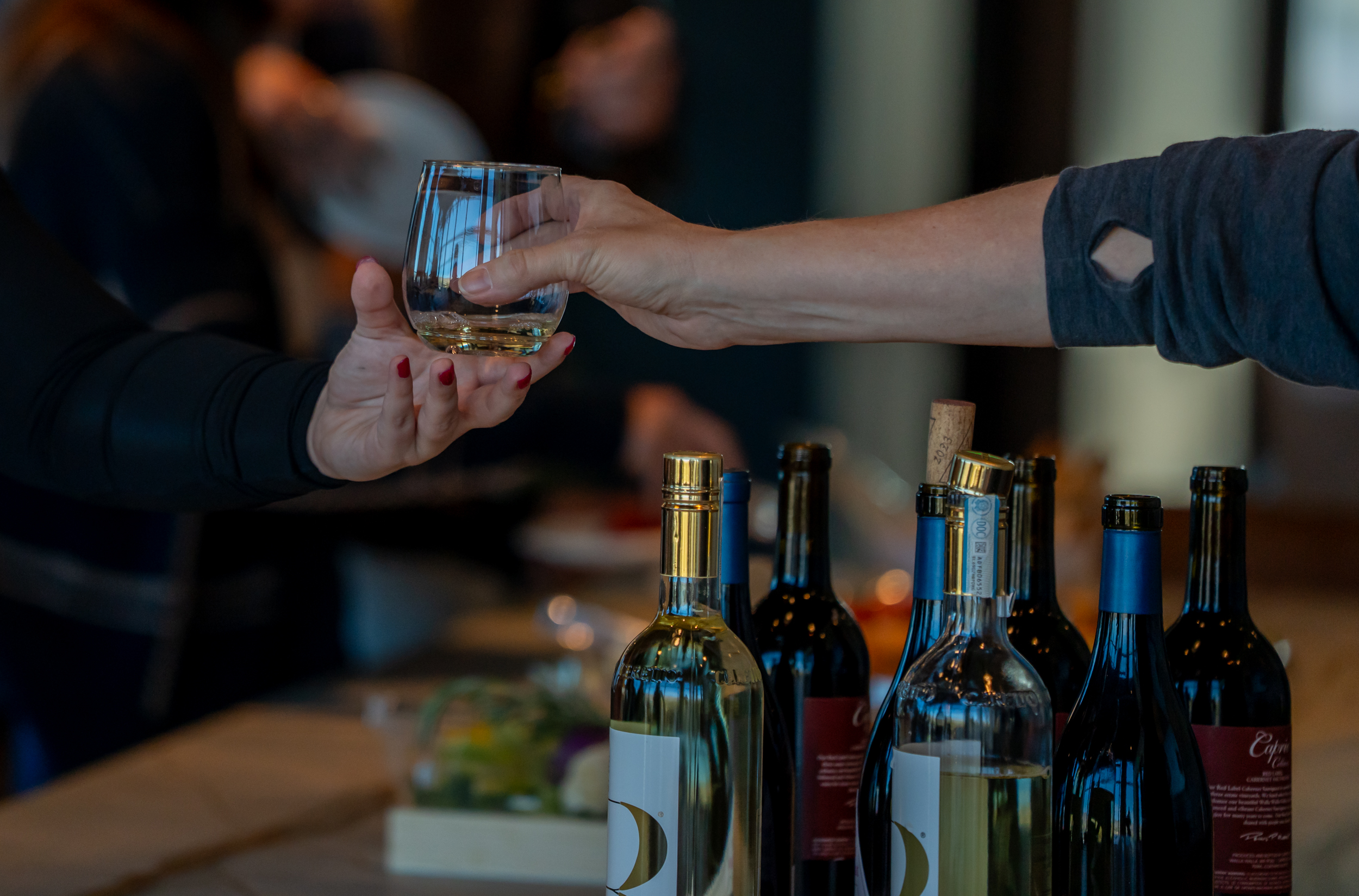 Treasure Valley Wine Tour