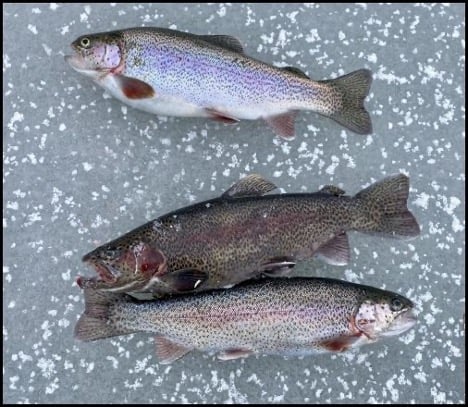 Ice Fishing Excursion - Image 1