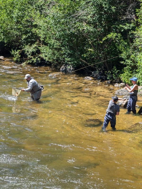 Fly Fishing Casting Clinic - Image 2