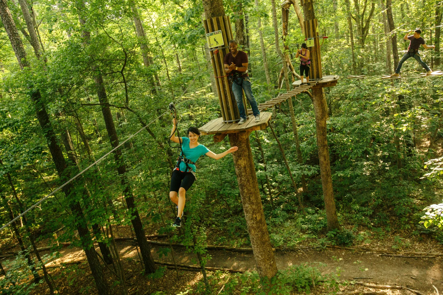 Zip Line & Tree Top Adventure