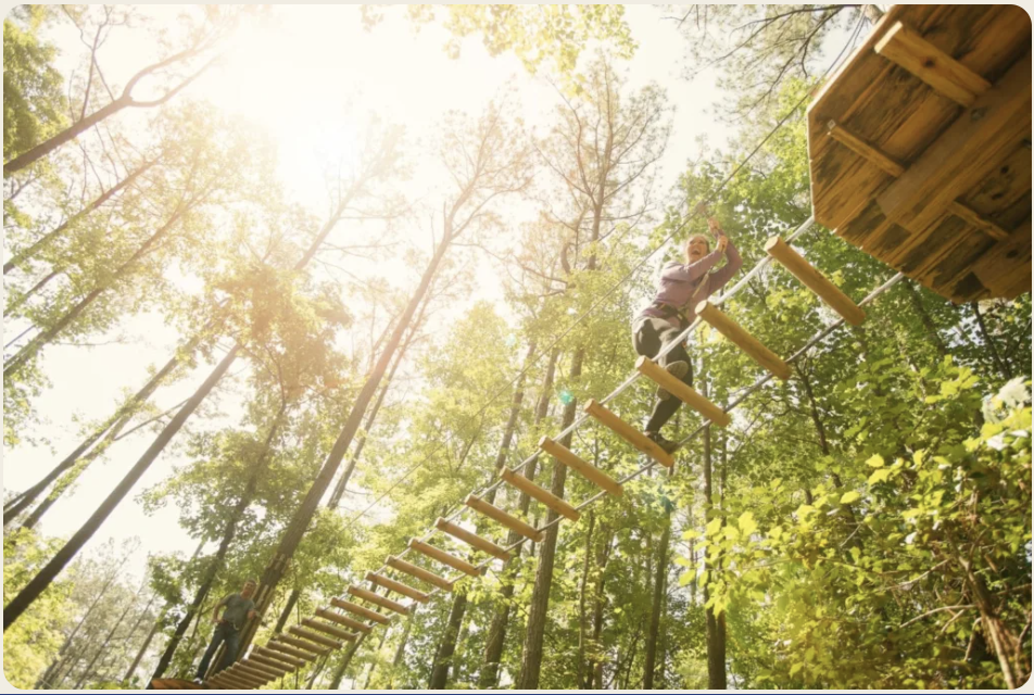 Zip Line & Tree Top Adventure - Image 2