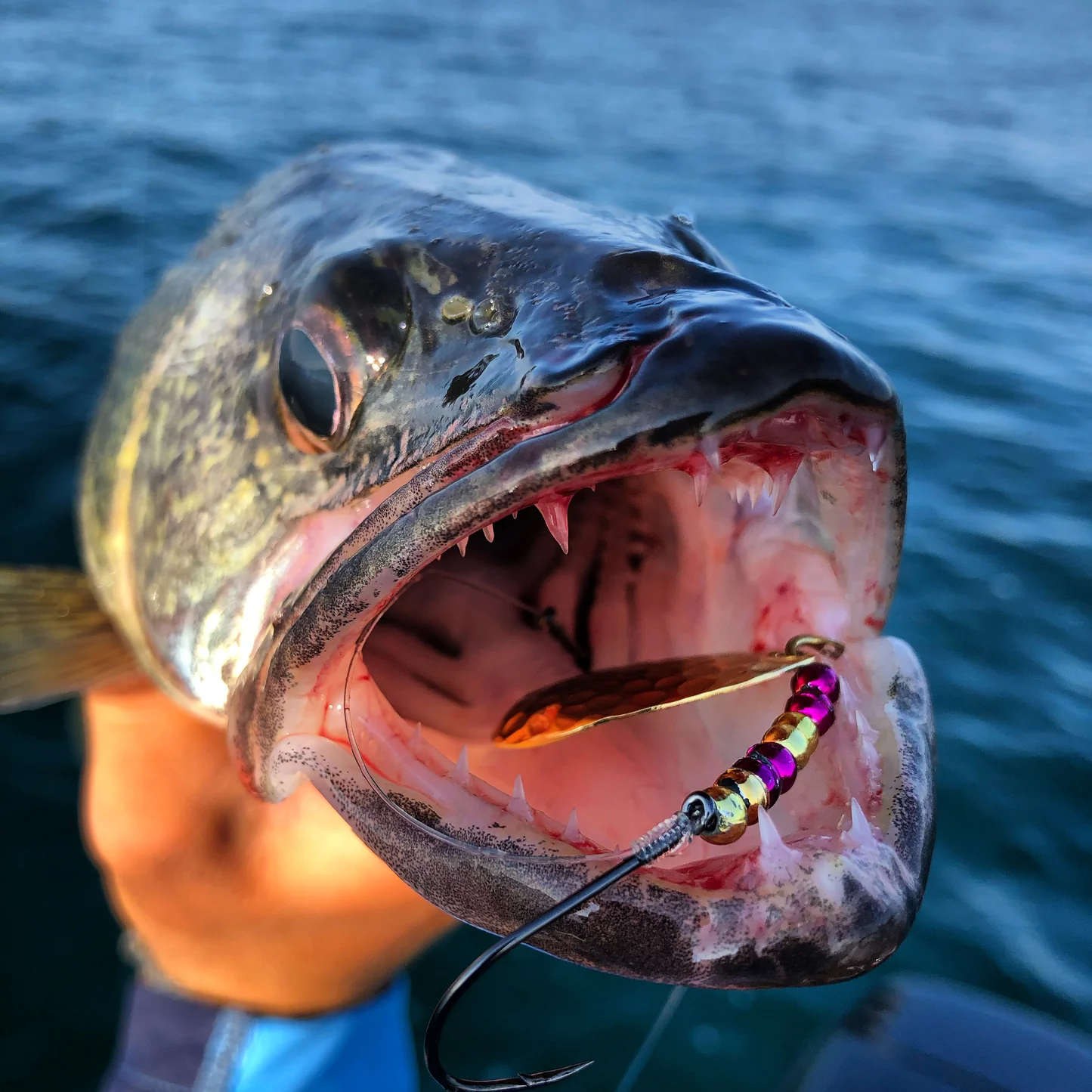 Lake Erie Walleye Fishg - Image 1