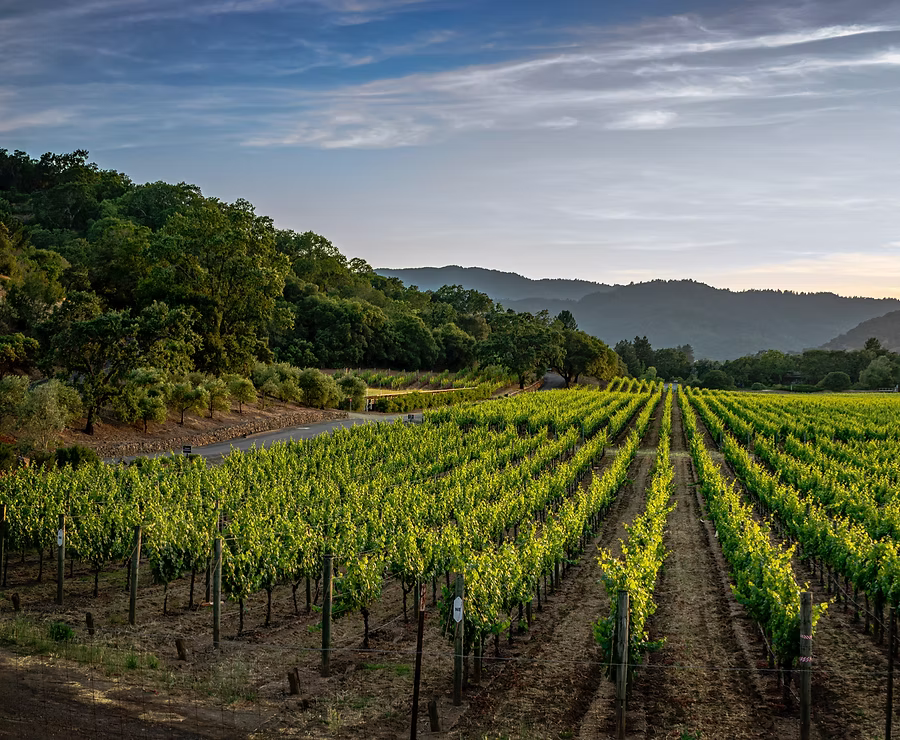 Treasure Valley Wine Tour - Image 3