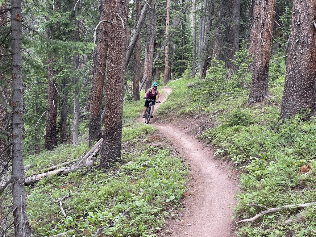 Mountain Bike Skills Clinic - Image 2