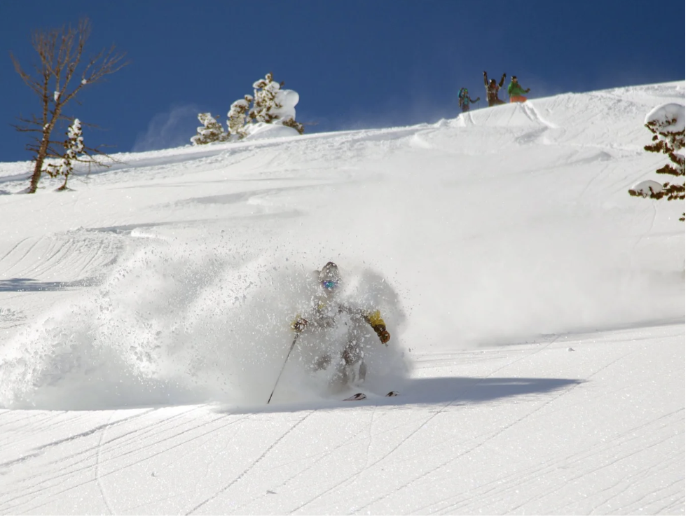Helicopter Skiing - Image 1