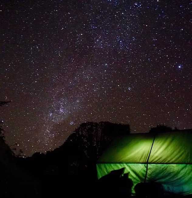 Summit to Savanna with The Karuna Project - Image 5