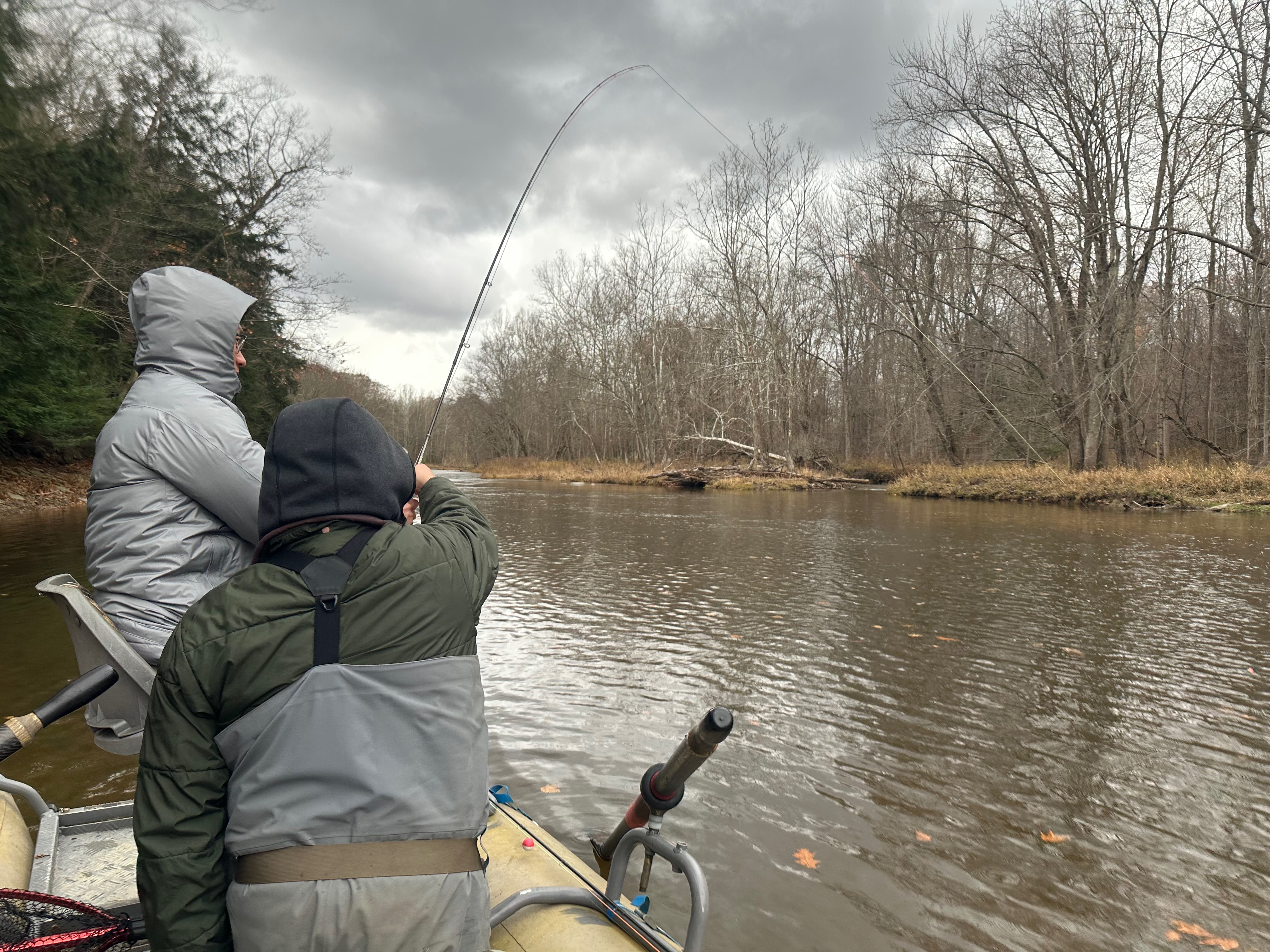 Guided Fly Fishing for Steelhead Trout - Image 2