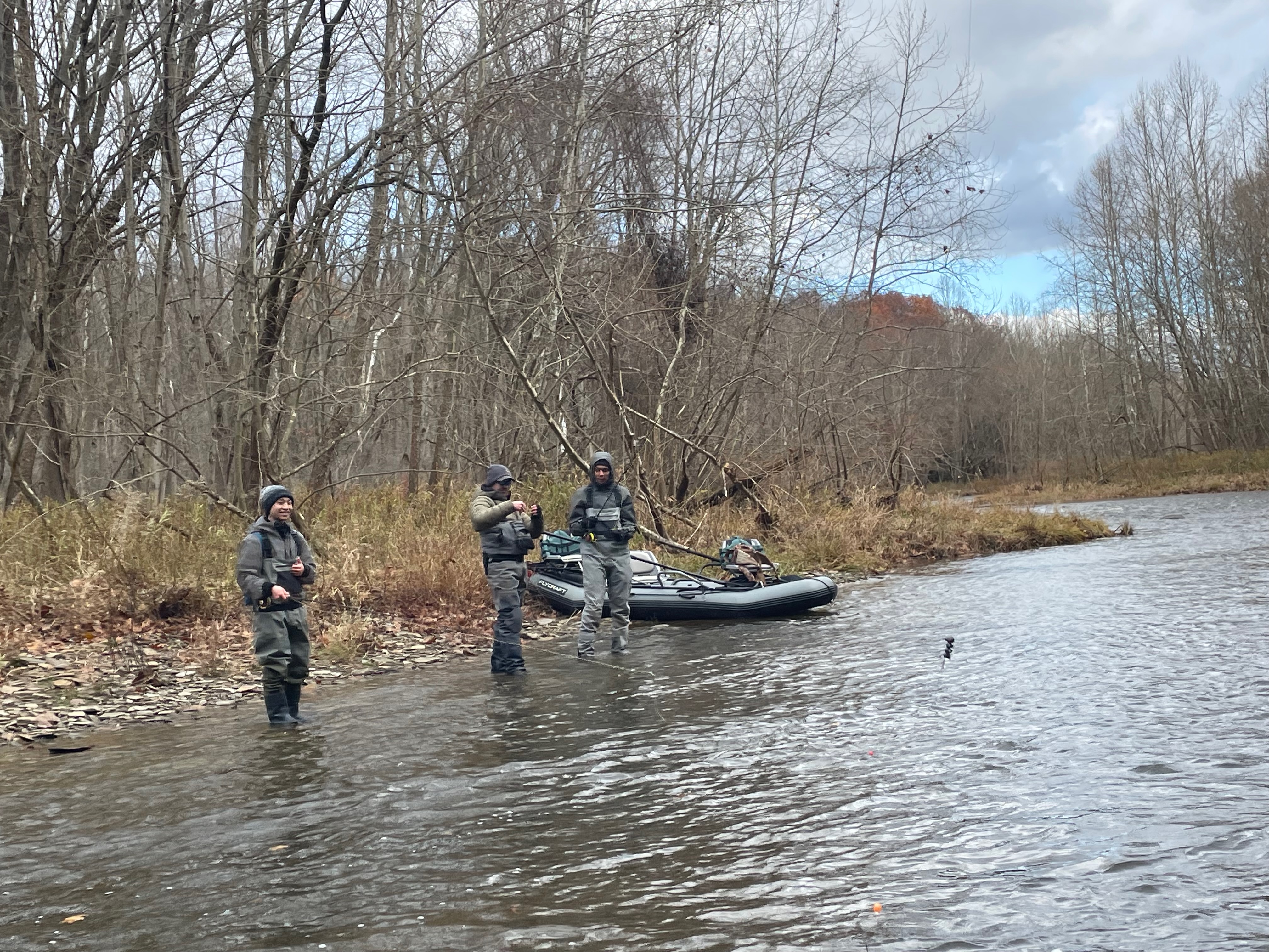 Guided Fly Fishing for Steelhead Trout - Image 3