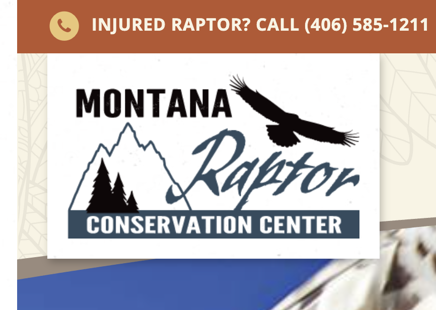 Montana’s Raptor Conservation Center