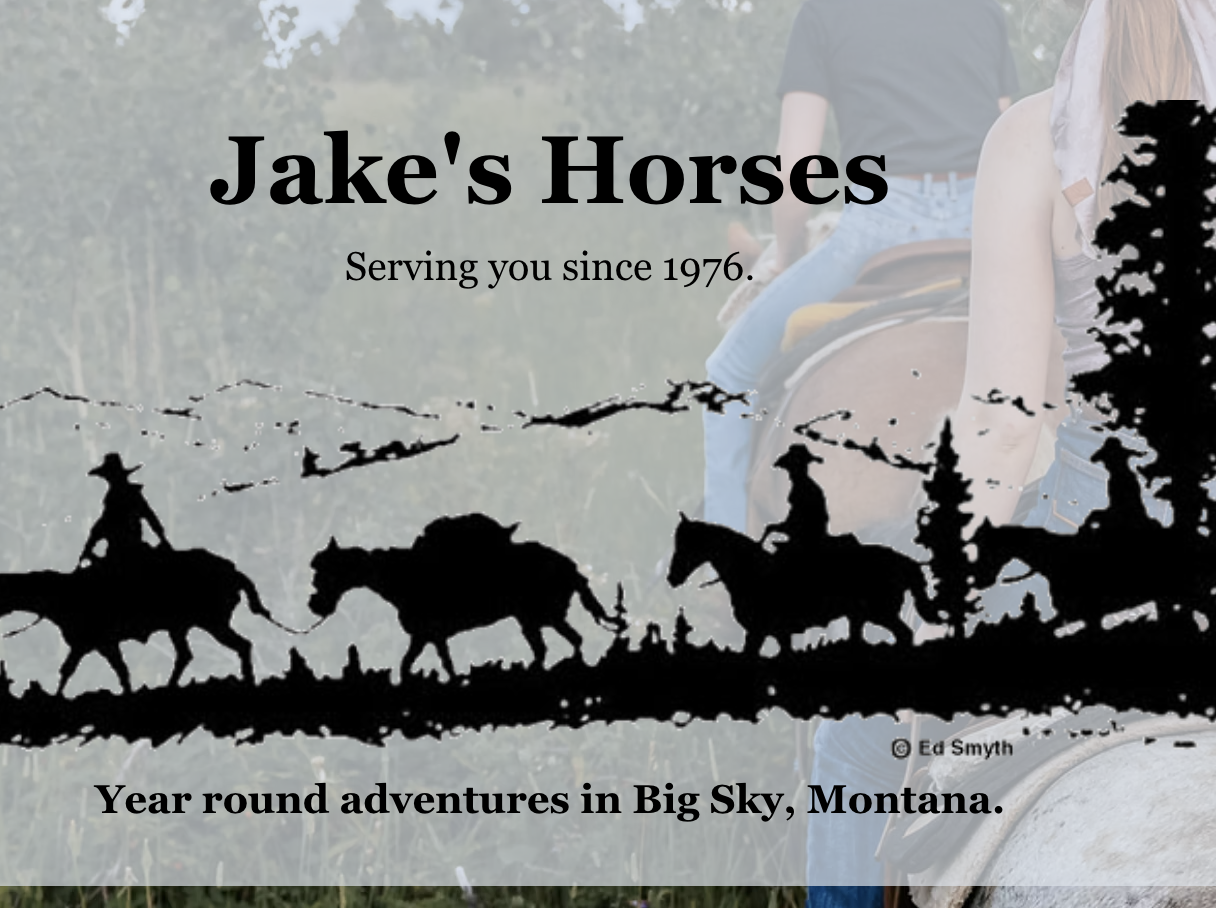 Jakes Horses