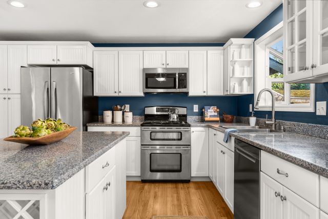 Stainless Steel Appliances