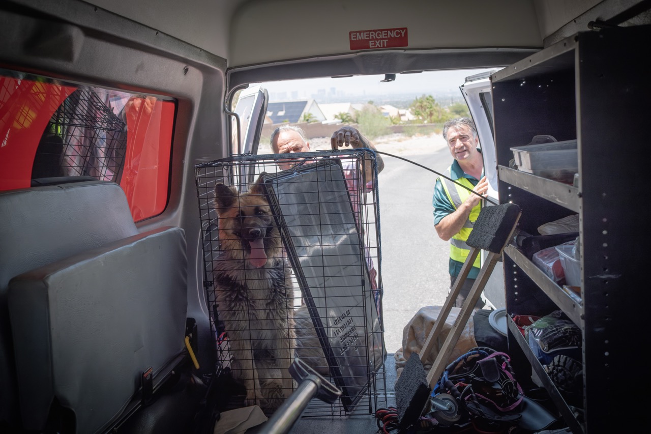 Dumped | The documentary showing the real life of animal rescuers in Las Vegas