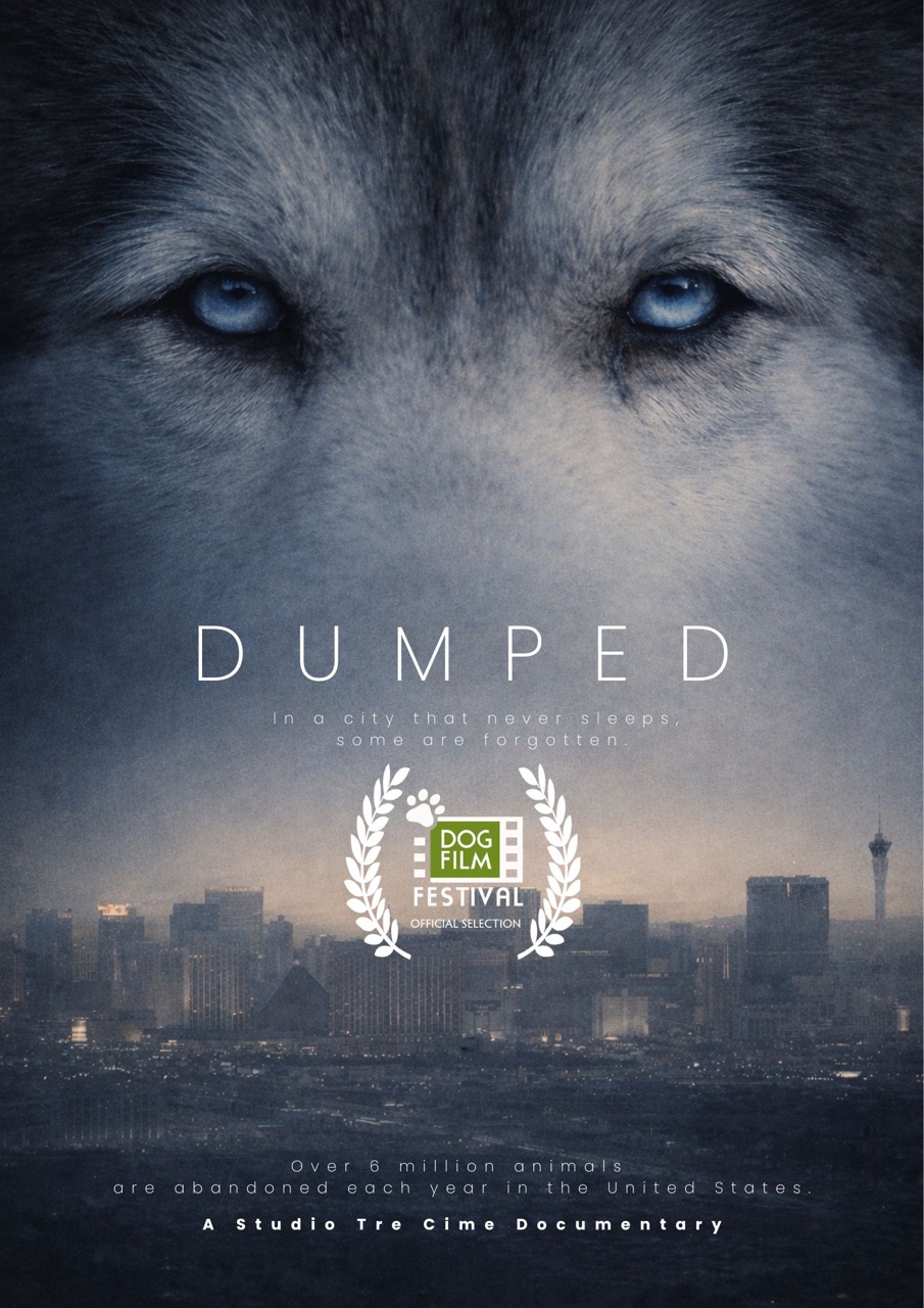 Dumped Poster