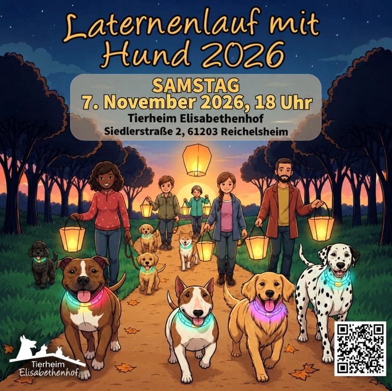 Laternenlauf mit Hunden
