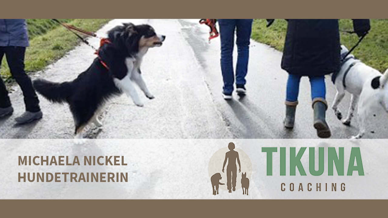 Problem: Hund? Warum der Hund tut, was er tut.