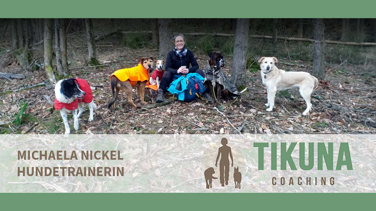 Endlich hündisch verstehen