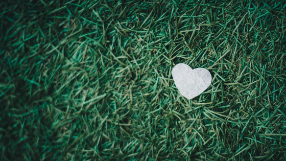How your love language affects your leadership style