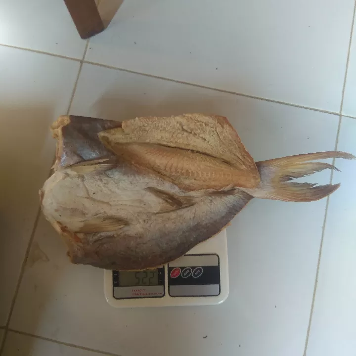 Ikan Asin Jambal 500gr