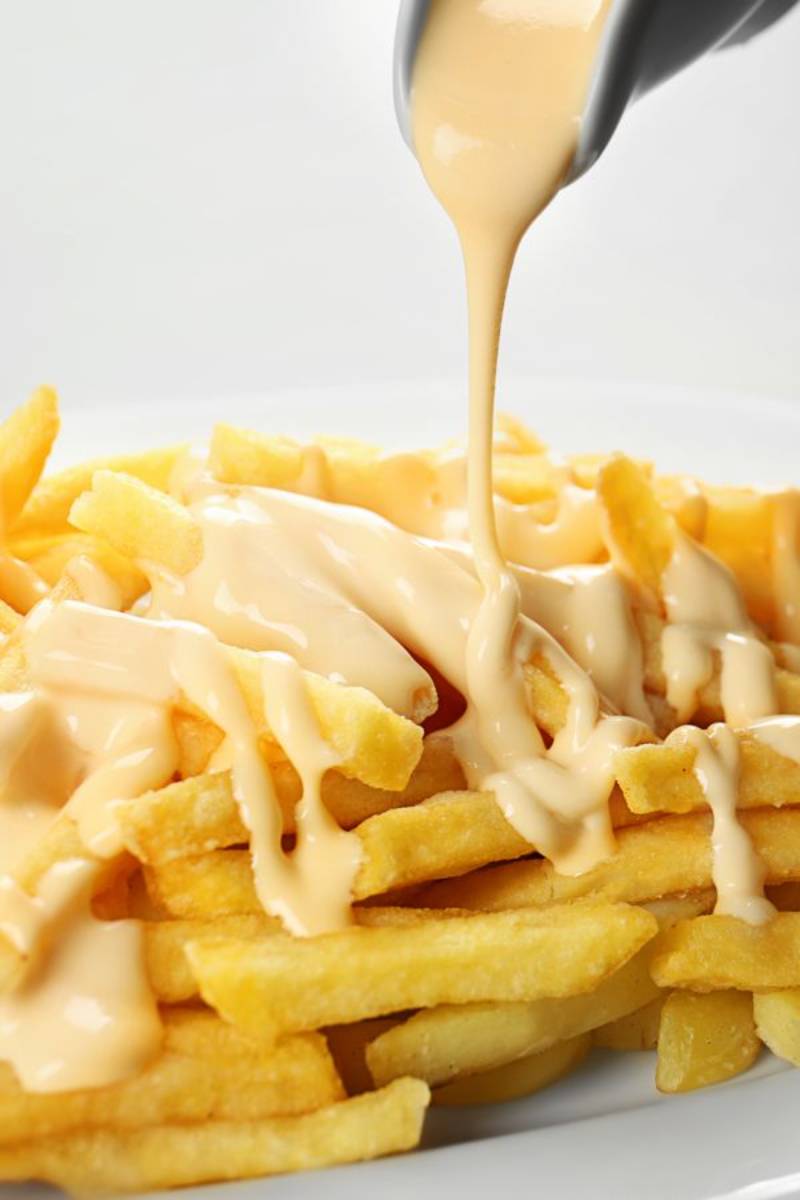 Cheese Fries