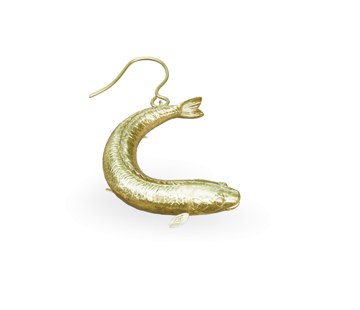 Eel fish