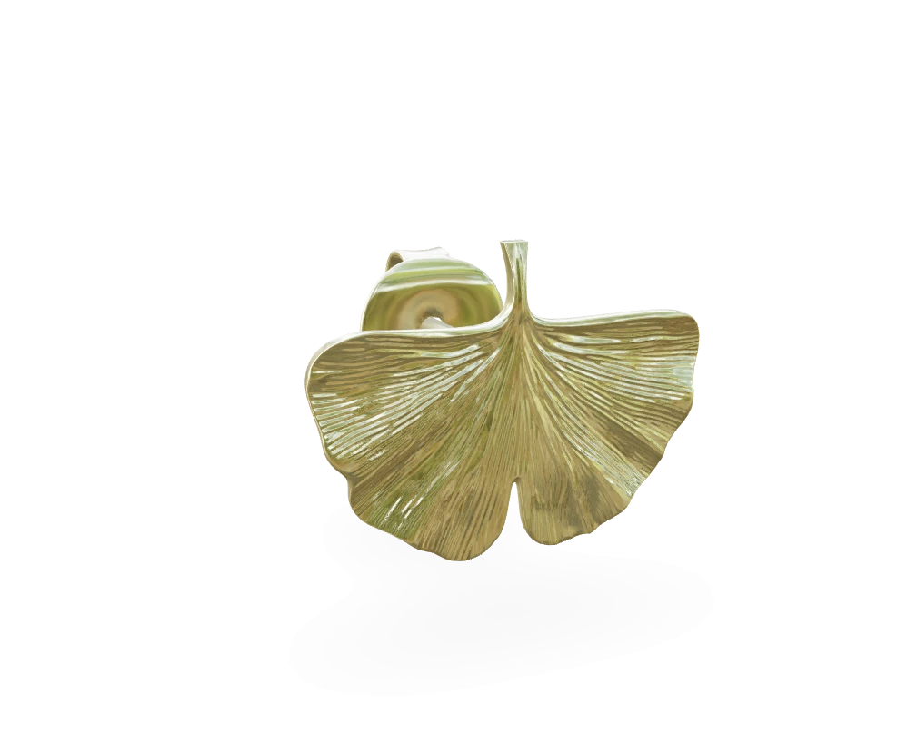 Ginkgo leaf
