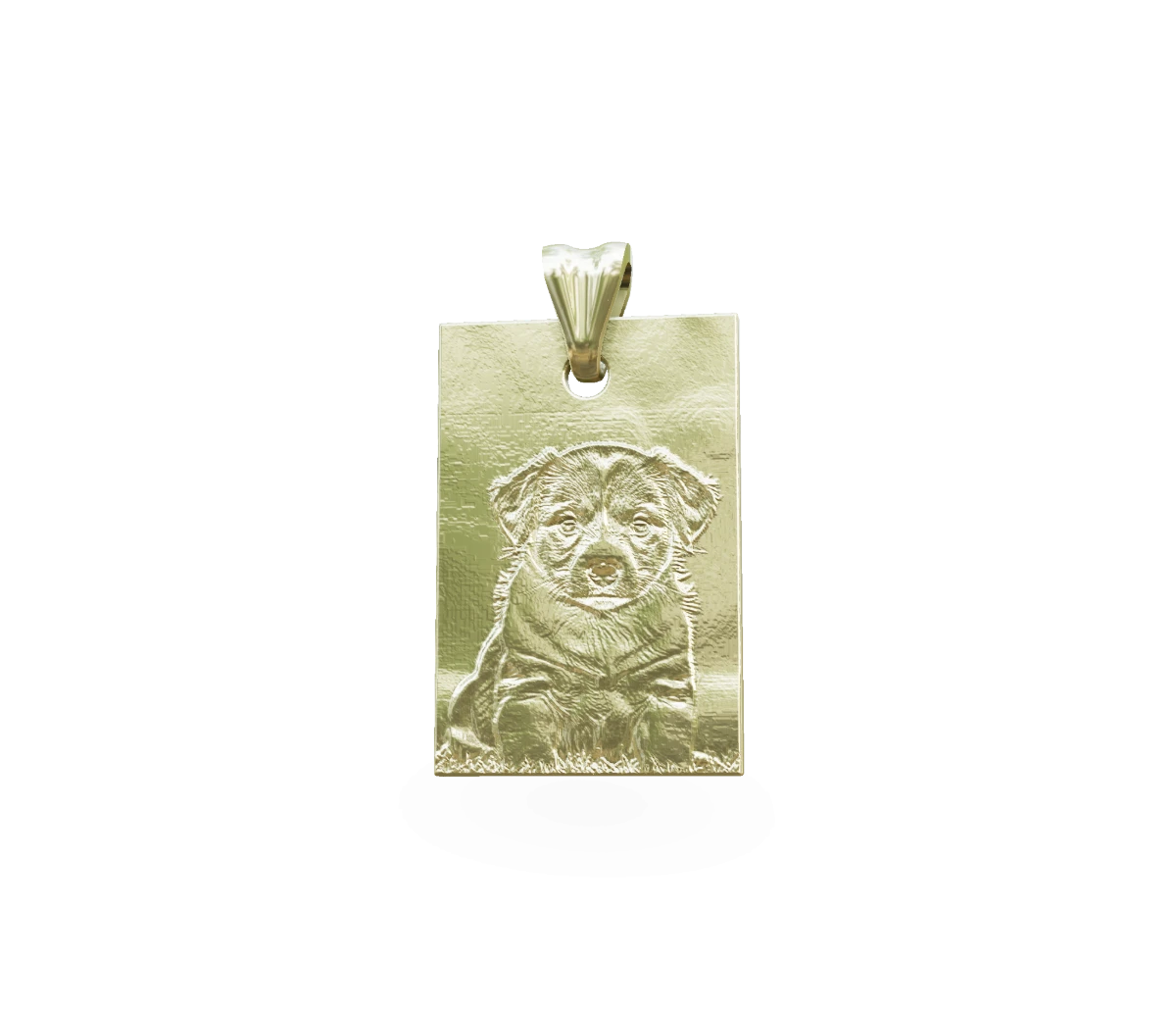 Customizable Pendant