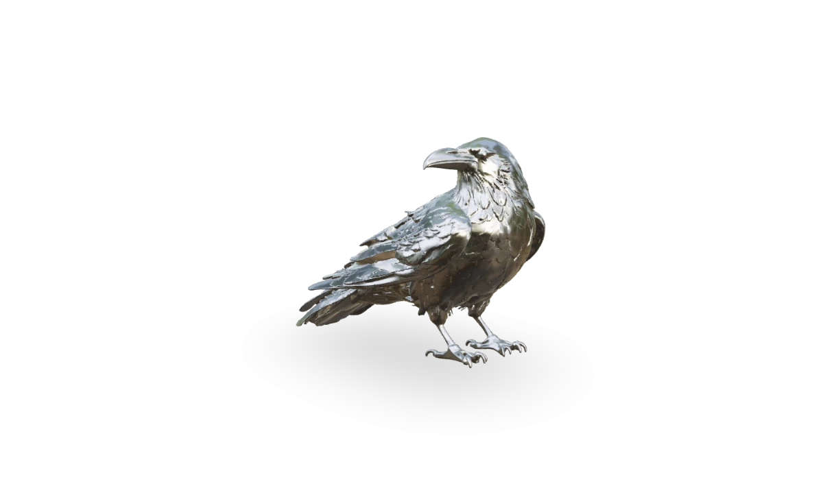 Raven