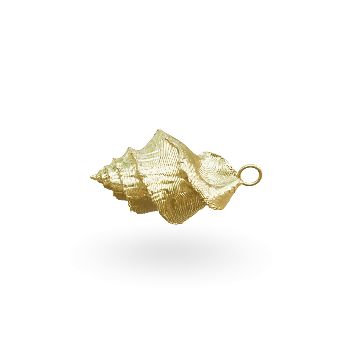 Seashell