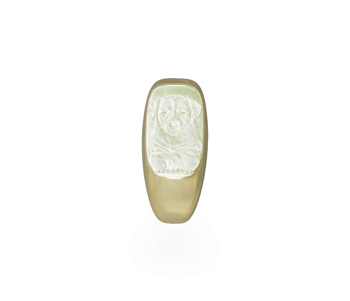 Customizable Standard Ring