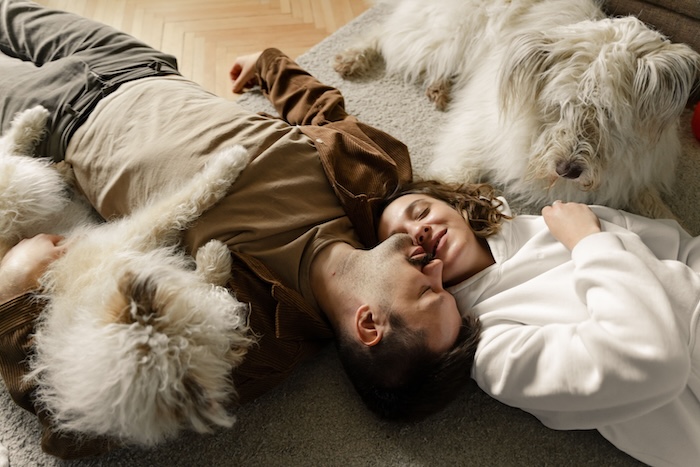 Two people lying on the floor together with two large dogs resting beside them