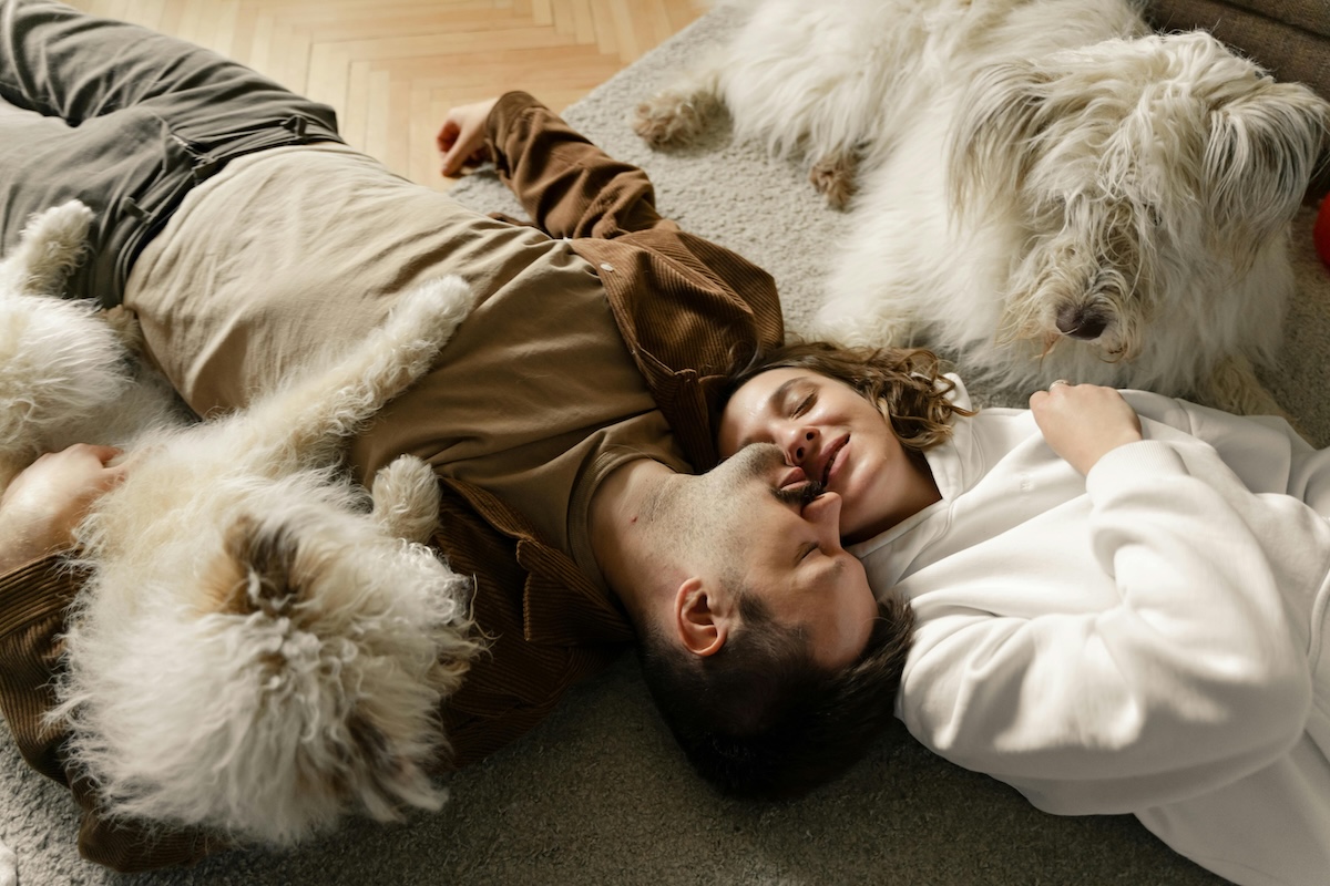 Two people cuddling with dogs.jpg