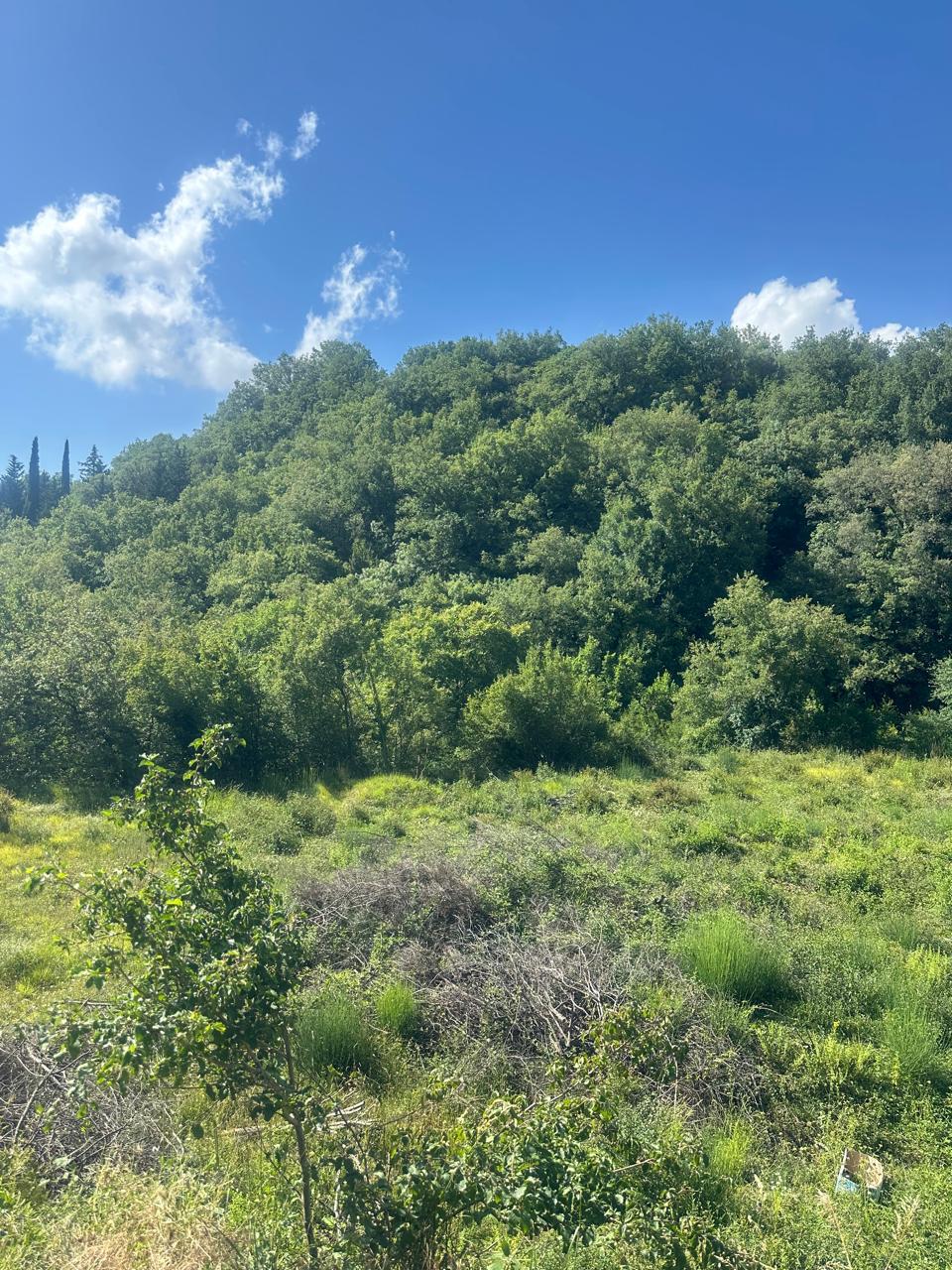 Investment Opportunity in Radanovići: Riverside Plot with Unlimited Potential! 