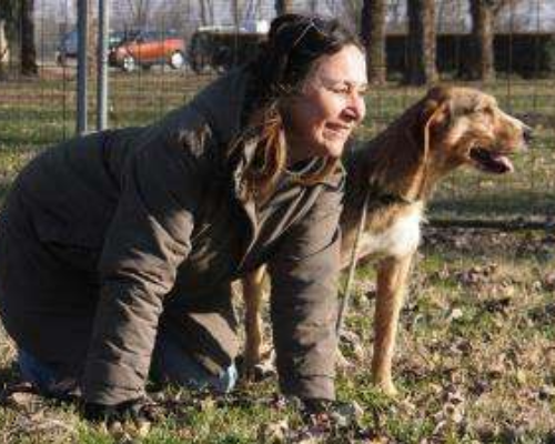 Vuoi adottare un cane a Milano?