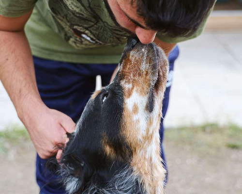 Adotta un cane, taglia media, maschio, Napoli
