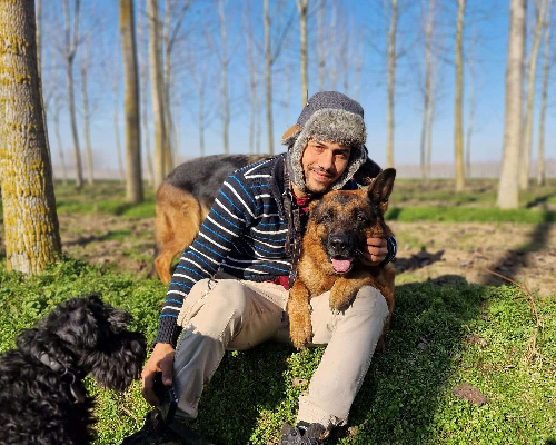 Adotta un cane, maschio, 6 anni  e 4 mesi , Milano