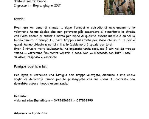 Foto 3 dell'animale