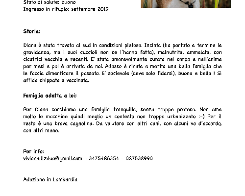 Adotta il cane Diana a Bergamo