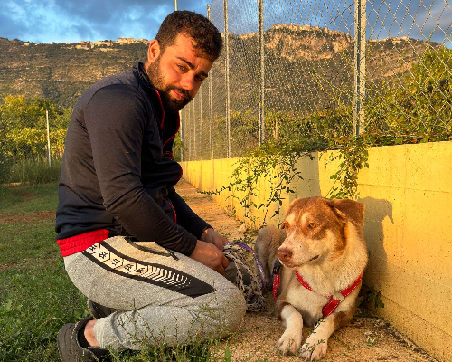 Vuoi adottare un cane a Latina?