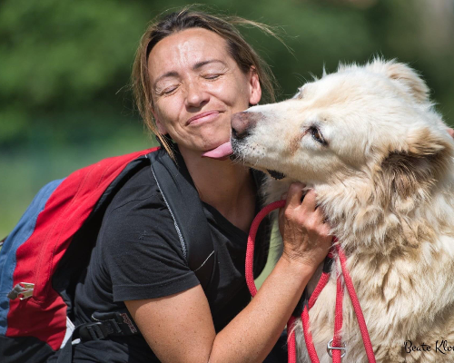 Adotta un cane, femmina, 8 anni  e 4 mesi , Roma