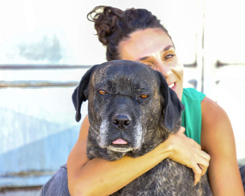 Foto dell'animale