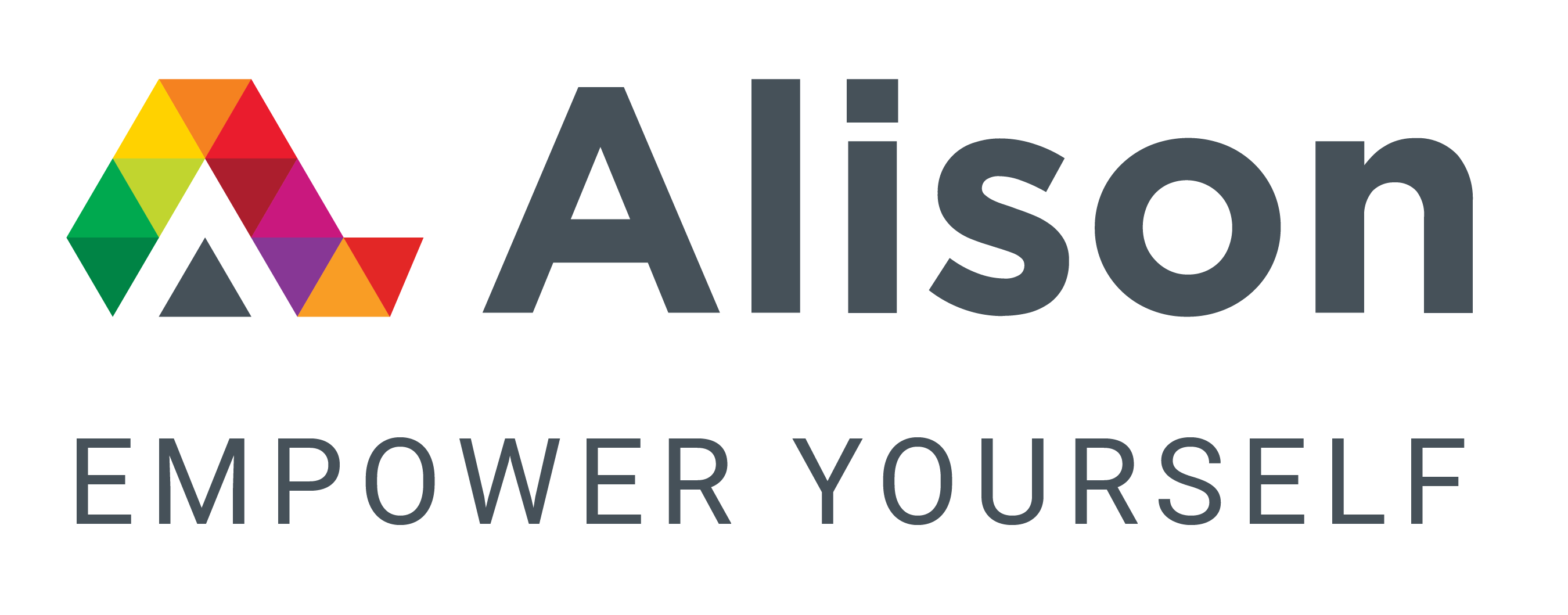 Introduction to Drones by Alison
