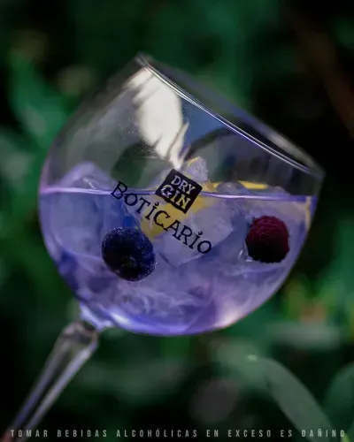Boticario Blueberry Gin