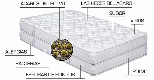 Limpieza de Colchones