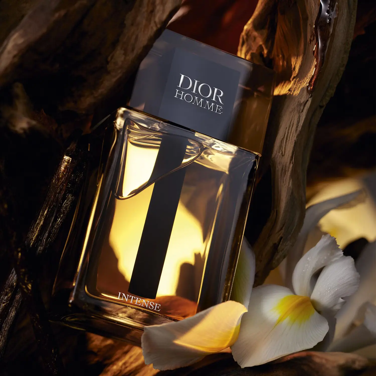 2025’in En Prestijli Seçenekleri: Dior Erkek Parfümleri